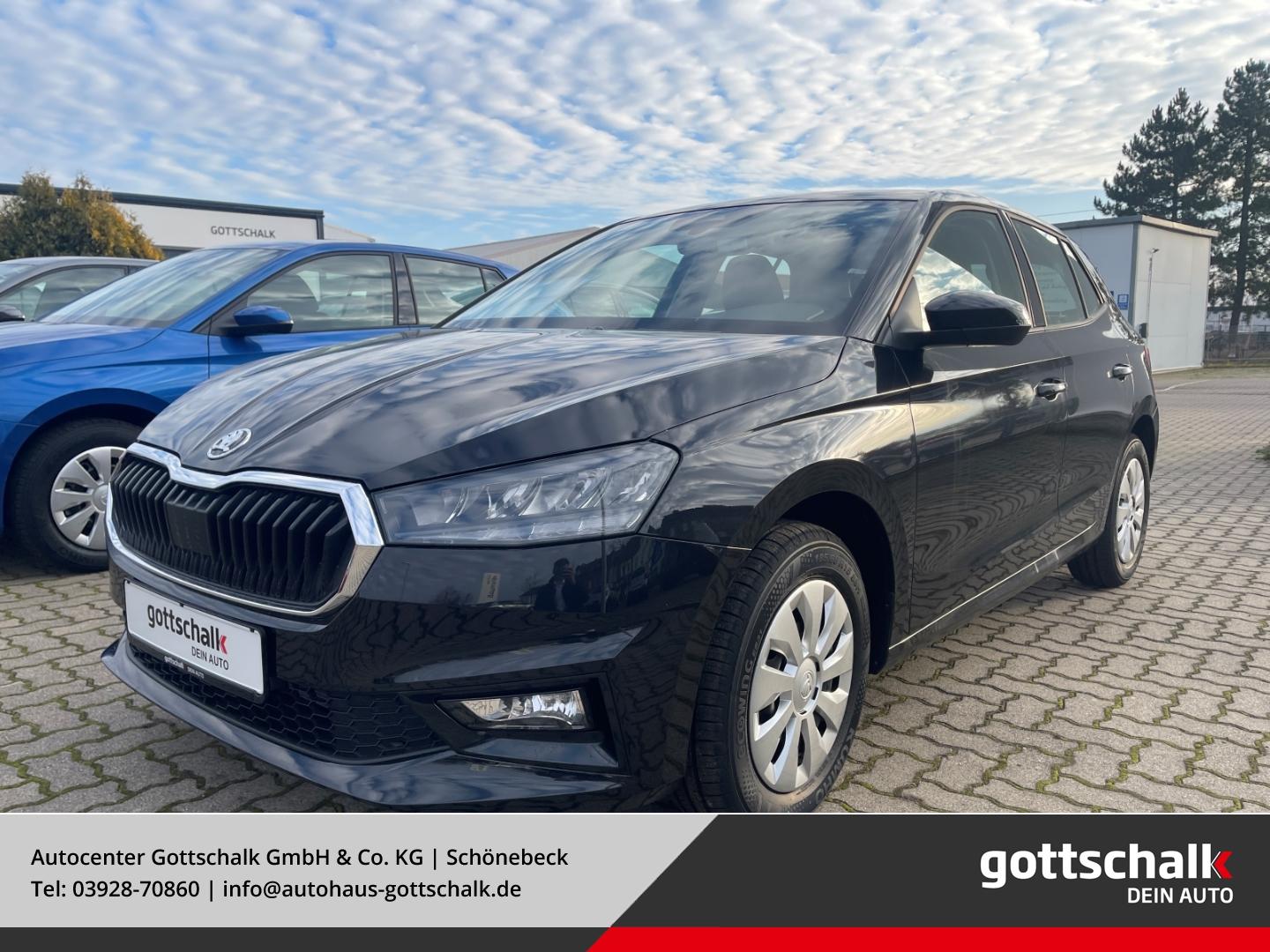 Skoda Fabia Selection 116 PS DSG Parks. RüKa Sitzh. Ca