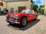 Austin Healey MK III - Klassiker in Bestform  - Austin Healey aus 1966