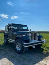 Jeep CJ7 - 3,8L - 1984 - H-Kennzeichen - HU - Jeep CJ: 7