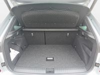 Skoda Kamiq - Vorschau Bild 12