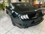 Ford Mustang 5.0 Ti-VCT V8 Bullitt Bullitt - Ford Mustang mit Benzin-Antrieb: Coupe, Bullit