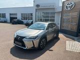 Lexus UX 250h Luxury Line - silberne Lexus UX