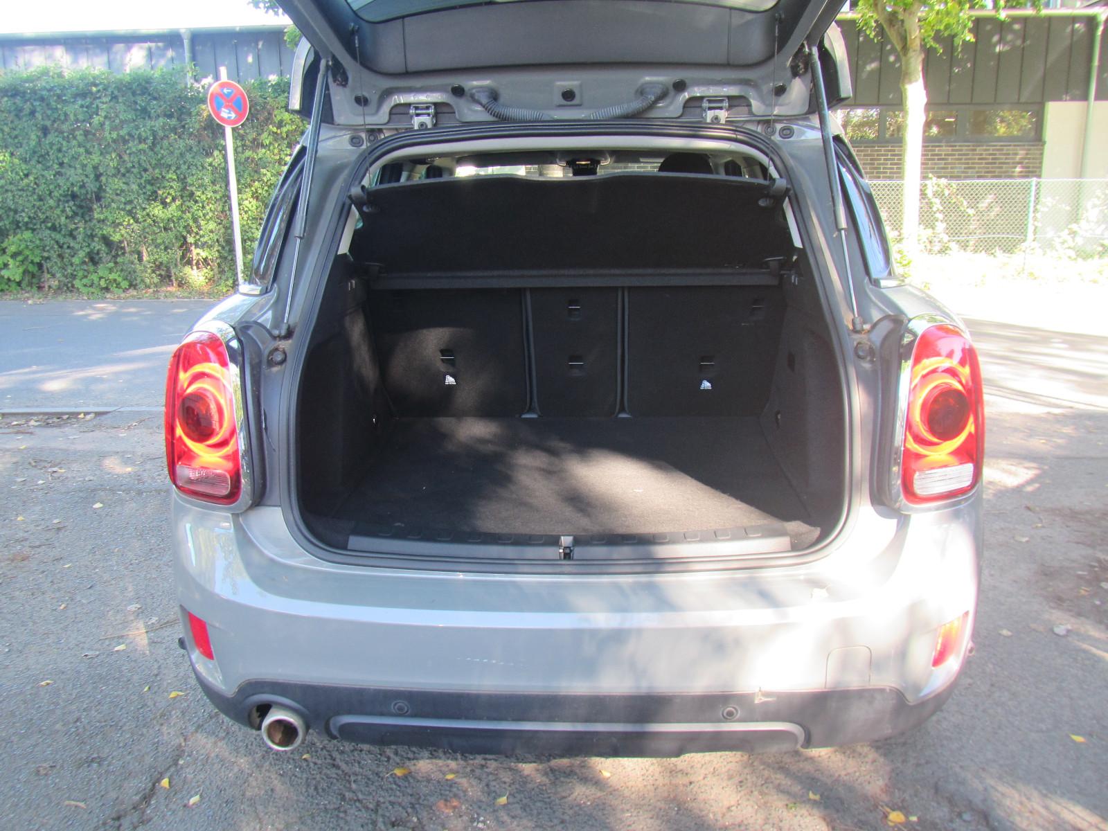 MINI Cooper SE Countryman ALL4 Navi LED PDC Autom.