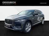 Jaguar F-PACE P400e - Hybrid 360 Leder SpurH LED - Jaguar F-Pace Plug-in Hybrid (PHEV) Gebrauchtwagen