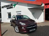 Opel Adam Jam/AUT/SHZ/LRHZ/TEMP/GJR/PDC/TEILLEDER