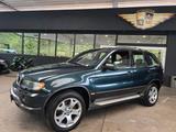 BMW X5 3.0i SPORT LEDER/NAVI/CD/LM-AW - BMW X5: Grün