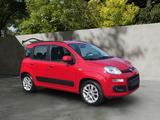 Fiat Panda Lounge/PDC/Klima/Euro6/Top - Fiat Panda: Rot