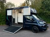 Peugeot Boxer Pferdetransporter 2015 Horsetruck - gebrauchte Peugeot Boxer aus dem Jahr 2015