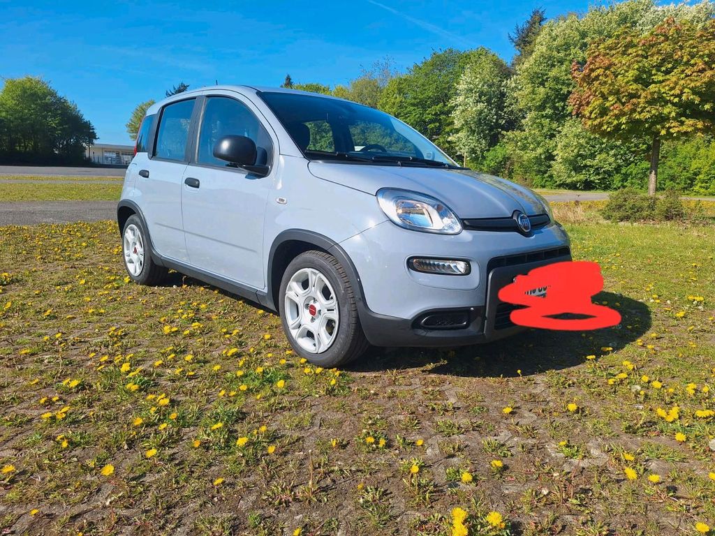 Image of Fiat Panda