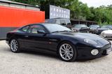 Aston Martin DB7 V12 Vantage - Aston Martin: Va