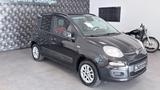 Fiat Panda Lounge/AUTOMATIK/36TKM/KLIMA/GARANTIE - Fiat Panda mit Benzin-Antrieb: Kleinwagen, Automatik
