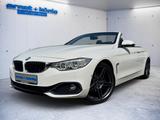 BMW 430 4 Cabrio 430 i Sport Line - BMW 430 i Gebrauchtwagen