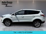 Ford Kuga 1.5 EcoBoost Titanium 4x2*ActivePark* - Ford Kuga: Weiß