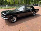 Ford Mustang 1964 1/2  Black plate - gebrauchte Ford Mustang aus dem Jahr 1964