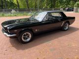 Ford Mustang 1964 1/2  Black plate - Ford Mustang aus 1964