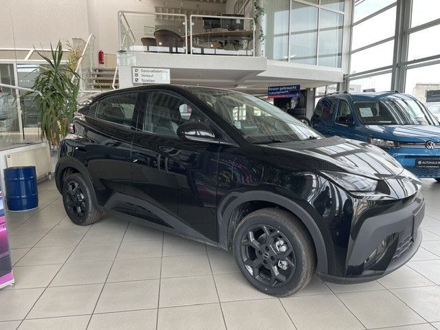 BYD DOLPHIN SURF