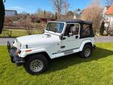 Jeep Wrangler Eagle Oldtimer zu verkaufen - Jeep Wrangler aus 1993