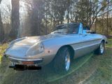 Alfa Romeo Spider 2000 - Alfa Romeo Spider aus 1979