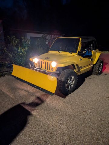 Quadix 800 Quad Buggy mit Schneeschild 