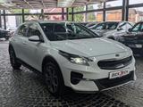 Kia XCeed 1.4 TGDI Vision KAM BI-LED APP BHL SHZ MFL - weiße Kia XCeed