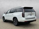Cadillac Escalade 4WD Sport Platinum AEC Hdl 3 J.Garantie - Cadillac aus 2024