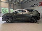Lexus NX 350h Business Leder SHZ Kamera Navi LED ACC - Lexus NX 350h mit Hybrid-Antrieb