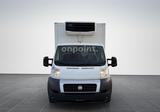 Fiat Ducato Tiefkühlkoffer XARIOS 500 *1.HAND*79 TKM* - Angebote