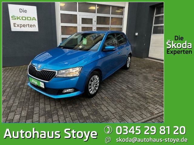 Skoda Fabia 1.0 TSI PDC;SHZ;CLIMATR;DAB;SUN SET