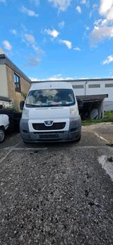 Peugeot Peugot Boxer Bus - gebrauchte Peugeot Boxer aus dem Jahr 2010