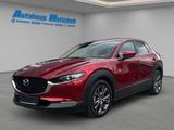 Mazda CX-30 Selection 2WD 2.0 SKYACTIV-X Leder AHZV HU - Mazda CX-30 mit Schiebedach