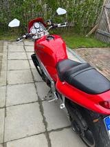 Triumph T595 Daytona 955i - TRIUMPH 955 DAYTONA