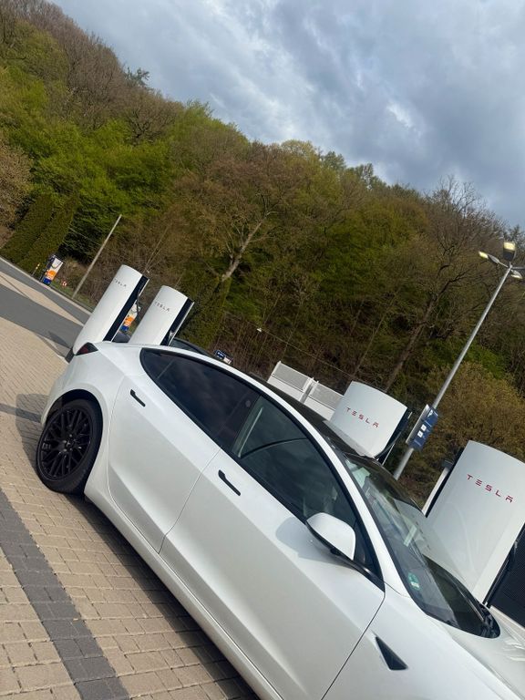 Image of Other Other