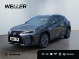 Lexus UX 300h F SPORT Design *LED*Kamera*SHZ*PDC v+h* - Lexus UX Neuwagen