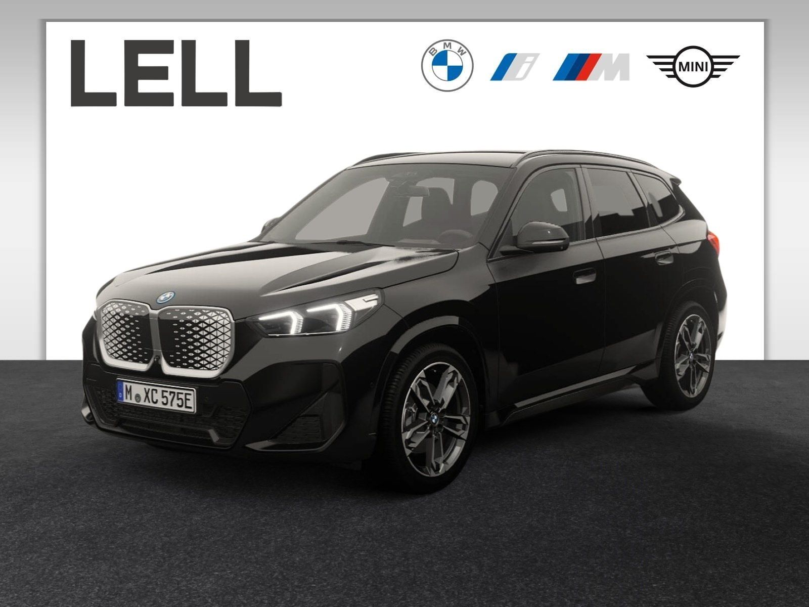 BMW iX1 eDrive20 M Sportpaket Head-Up DAB LED RFK