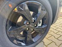 KGM Tivoli - Vorschau Bild 10