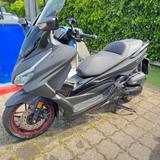Honda Forza 125 Special Edition  - Honda Forza 125 Special Edition