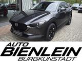 Mazda CX-30 2.5 140PS Nagisa Bose Voll-LED Kamera Navi - Mazda CX-30 Neuwagen