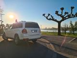 Mercedes-Benz GL 500 Grand Edition V8 LPG 8-Reifen AMG - Mercedes-Benz GL-Class