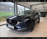 Mazda CX-30 Homura 140 PS *Navi*Kamera*Alexa*VFW* - Mazda Vorführfahrzeuge