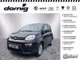 Fiat Panda Hybrid - gebrauchte Fiat Panda aus dem Jahr 2023