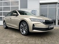 Skoda Octavia 1.5 TSI MHEV DSG Selection AHK 5J GAR bei Autohaus Landmann & Maier OHG