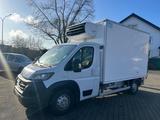 Fiat Ducato Maxi 35 160 L3*CARRIER*KÜHLKOFFER*TOP*EU6 - Angebote