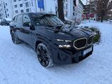 BMW XM Basis*B&W*360*23ZOLL*PANO*SOFT*VOLL*TOP - BMW XM mit Panoramadach