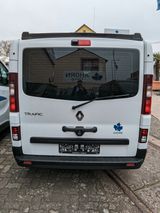 Ahorn Van Big City Aussteller & seperates Badezimmer! - Diesel City