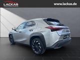 Lexus UX 250h STYLE*FWD*EDITION*FACELIFT*LED*CARPLAY*G - Lexus UX aus 2022