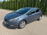 Kia Ceed 1.6 GDI FIFA World Cup *Sitzheizung*PDC* - gebrauchte Kia cee'd / Ceed aus dem Jahr 2014