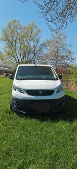 Peugeot Expert - Peugeot Expert aus 2017