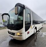 MAN Lions Regio - MAN Lions regio