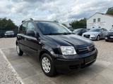 Fiat Panda 1.2 8V Dynamic Sportsitze Sport Lenkrad - Fiat Panda aus 2012