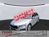 Skoda Octavia 2.0 TDI Style 4x4 LED|HuD|Business PLUS| - Skoda Octavia: Business